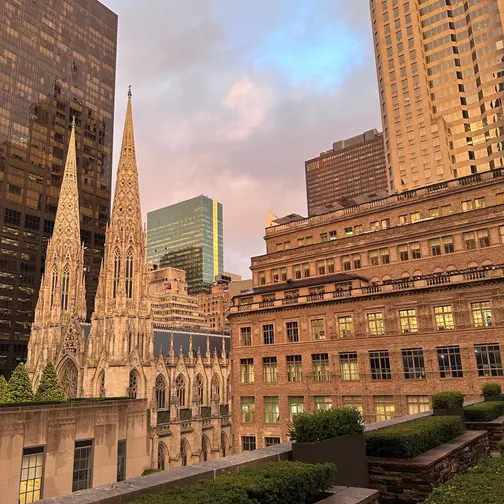 The spires of St. Patrick's Cathedral and the towers of Fifth Avenue glow at sunset, seen over the clipped hedges of the rooftop garden at 620 Loft & Garden.