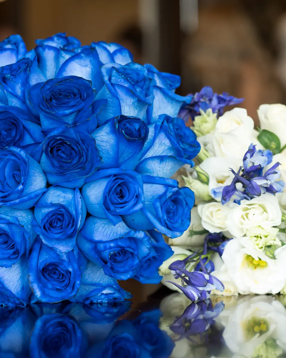 A round bouquet of deep blue roses beside a bouquet of white flowers.