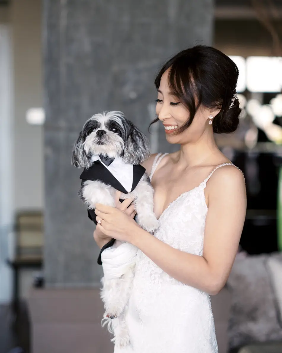The bride in her gown smiles down at a small black and white dog in a tiny tuxedo, held in her arms.