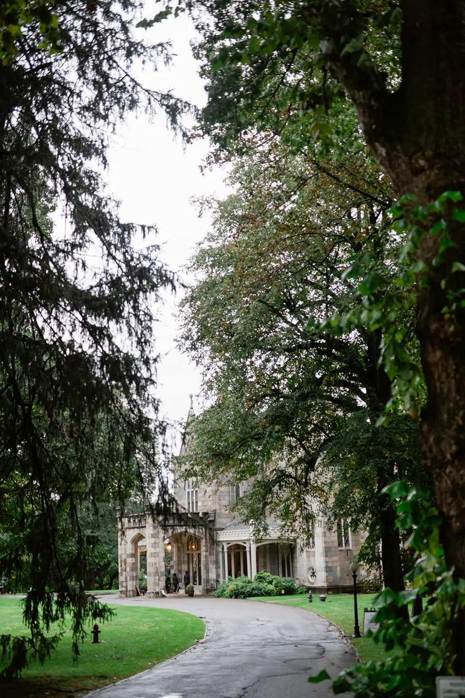 The drive to Lyndhurst mansion through tall trees on a grey day.