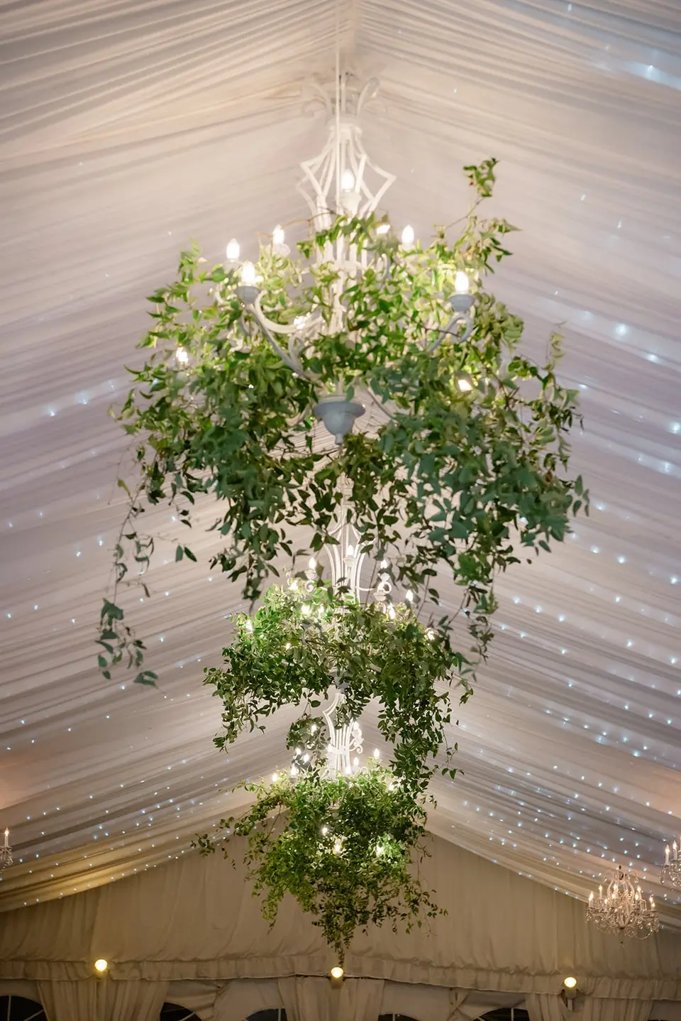 A chandelier hung with trailing greenery beneath the draped tent ceiling.
