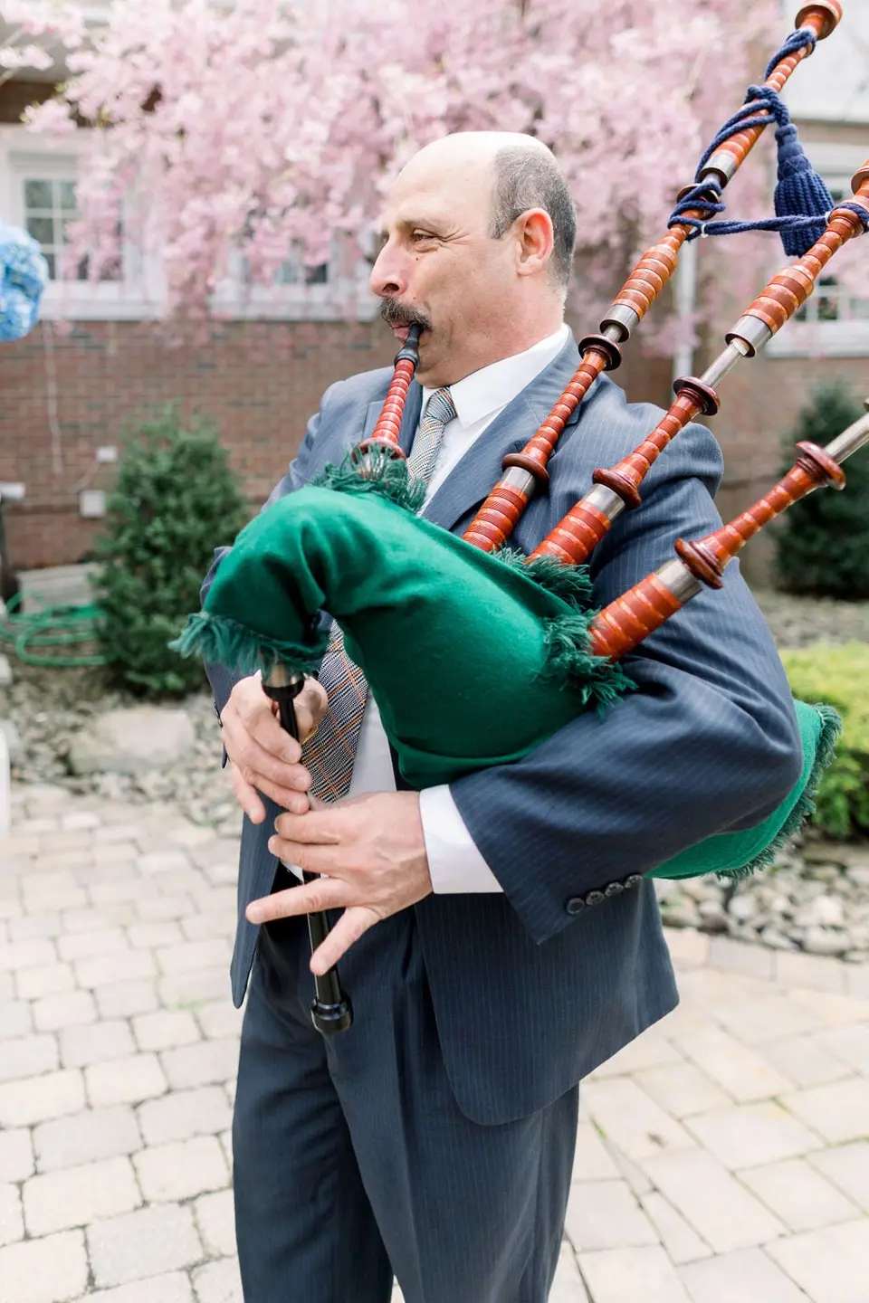 A bagpiper in a blue suit plays beneath a pink cherry tree.