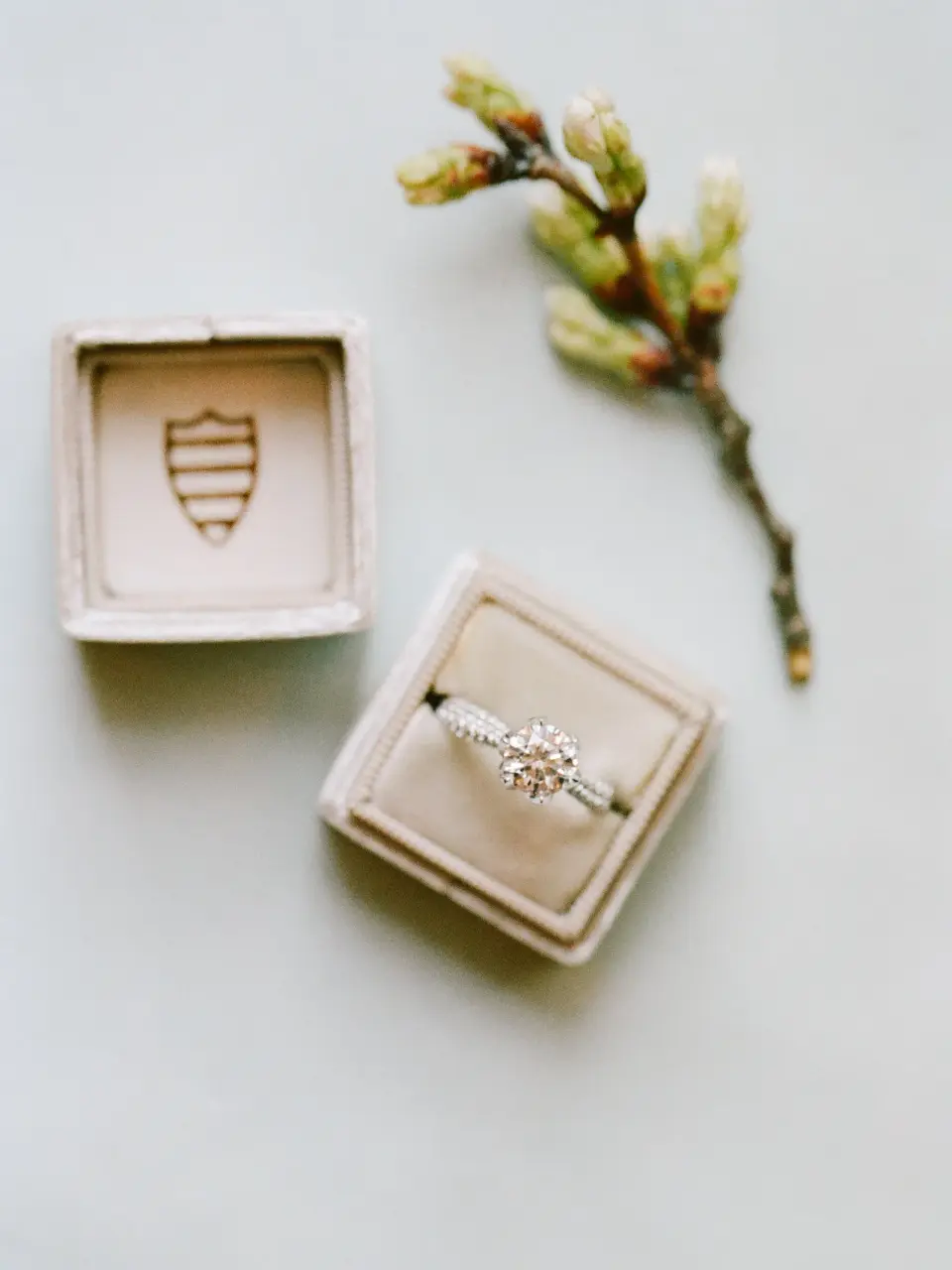 The engagement ring in a velvet box beside a Yale-crested box and a sprig of blossom.